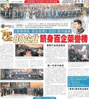 dvision fundamental award 26