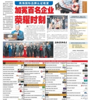 dvision fundamental award 3